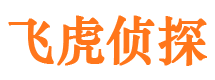 江北区市侦探调查公司